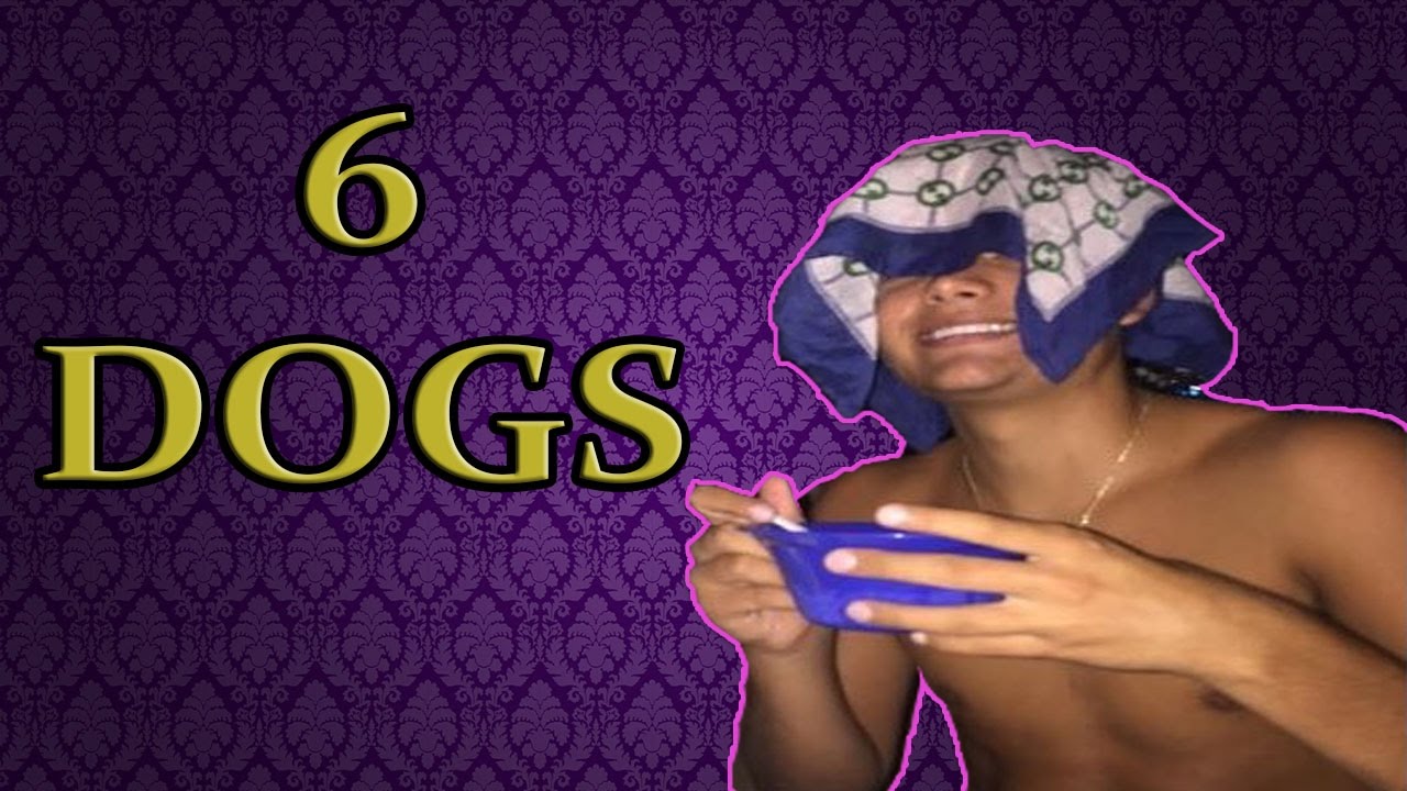 6 DOGS - Things You Should Know