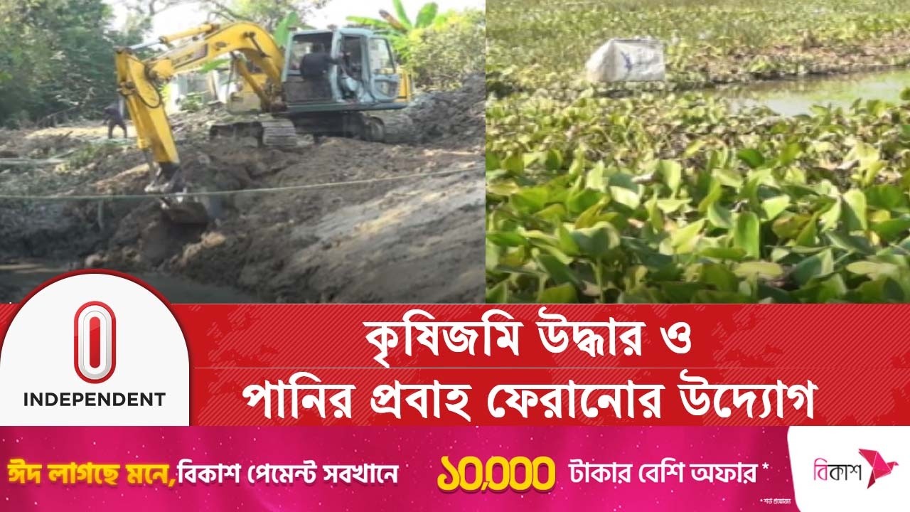 খাল খননে ফিরছে চাষাবাদ, আবাদযোগ্য হবে ৫ হাজার হেক্টর জমি | Barisal Khal | Independent TV