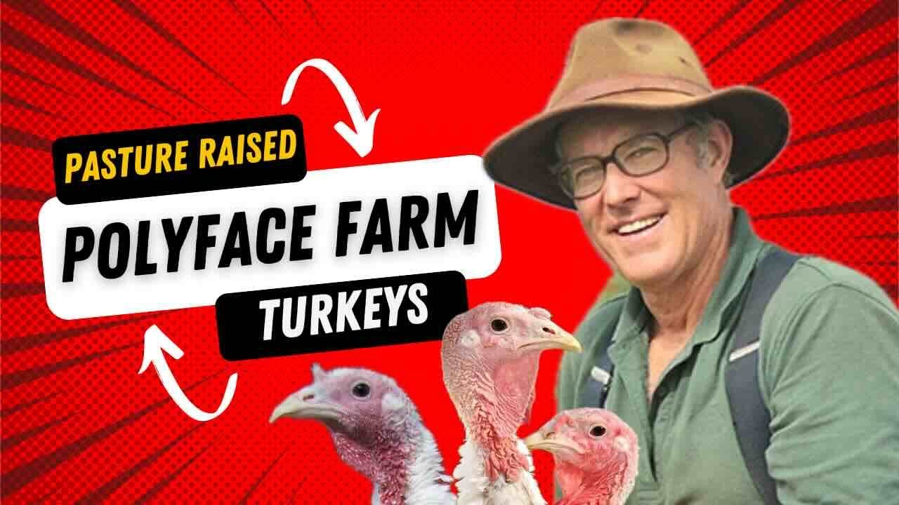 Polyface Farm - Pasture Raised Turkeys