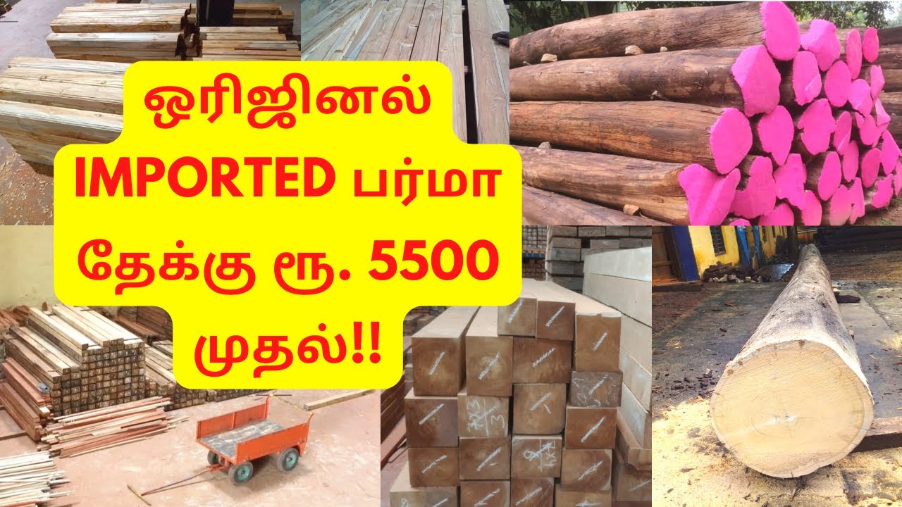 வெறும் 5500 ரூபாய்க்கு Burma தேக்கு மரம் !! | Burma Teak, African Teak & Padouck Woods For Sale
