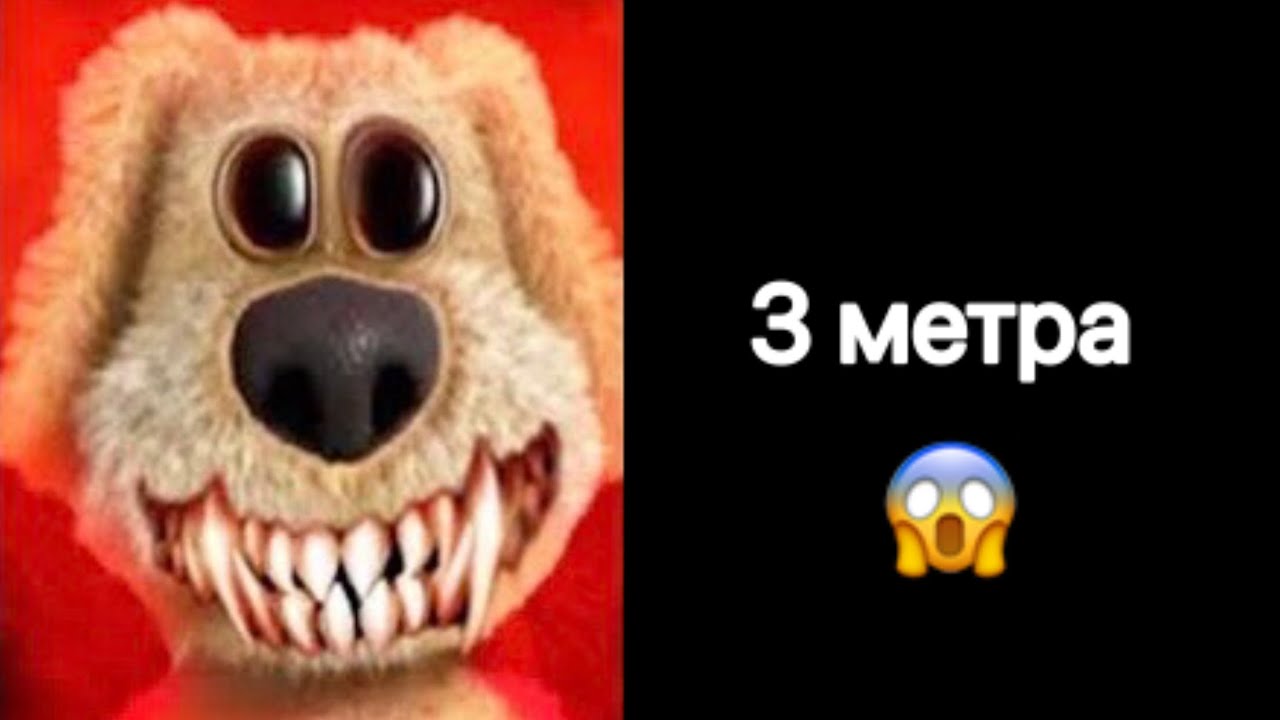 Твой рост: