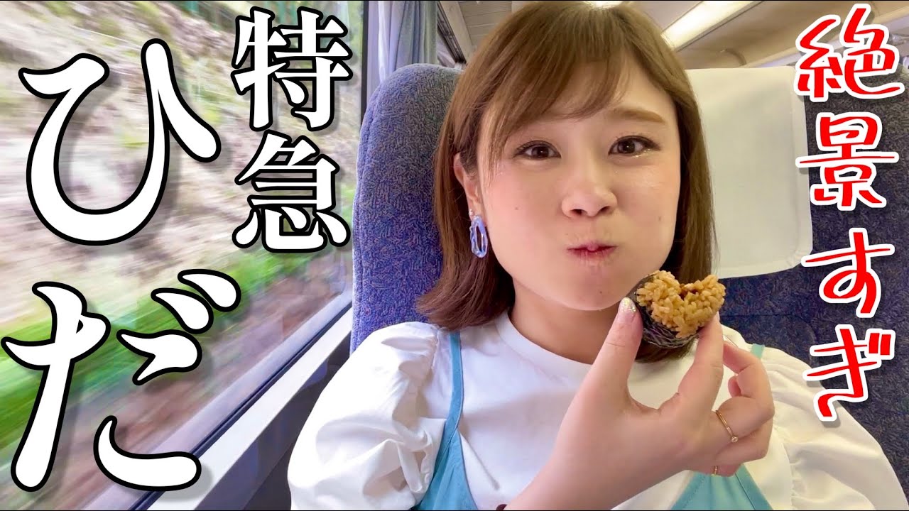 【前面展望】引退迫るキハ85系で高山本線へ！【飯うま】