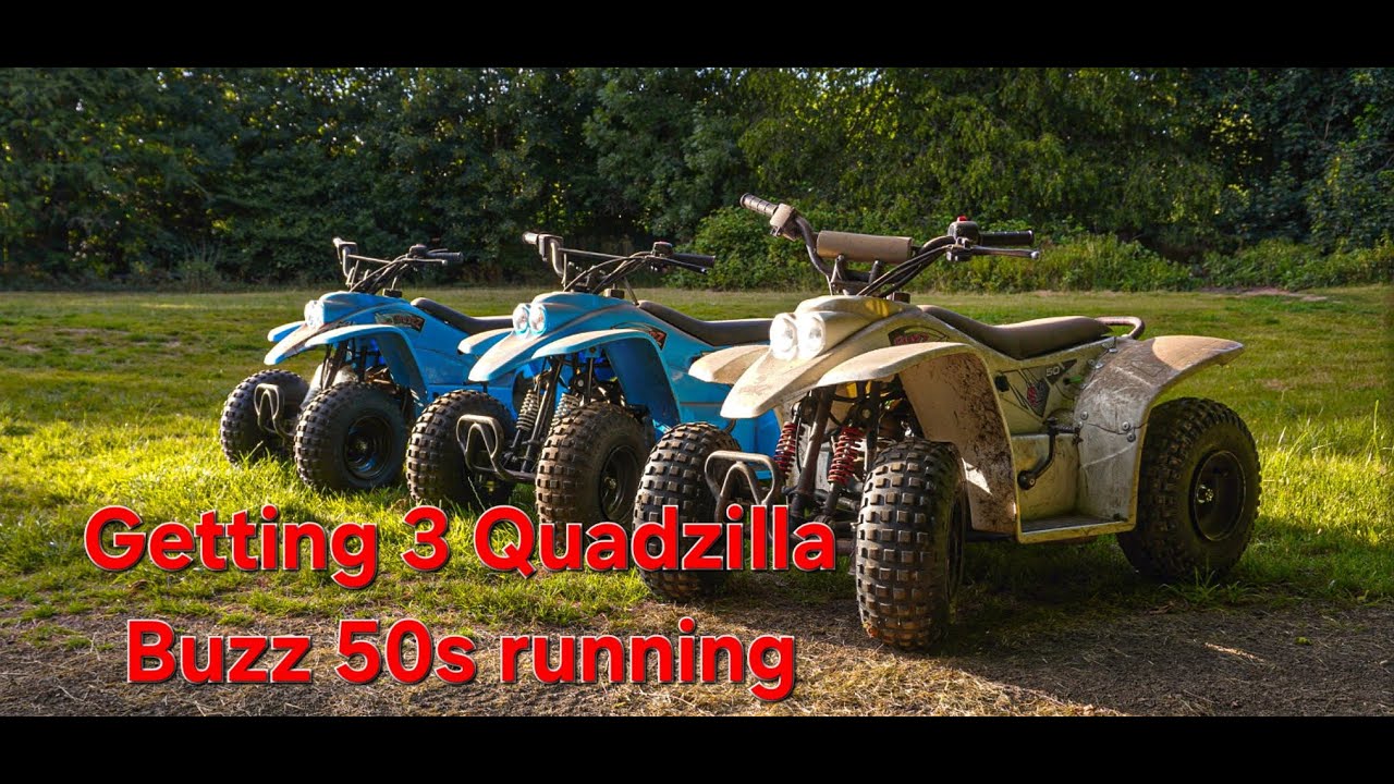 Getting 3 Quadzilla Buzz 50s Running After 2 Years