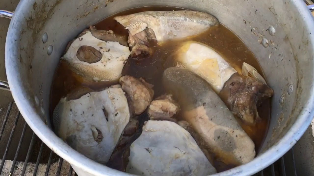 Tongue tacos with Gasparito // Tacos de lengua con Gasparito