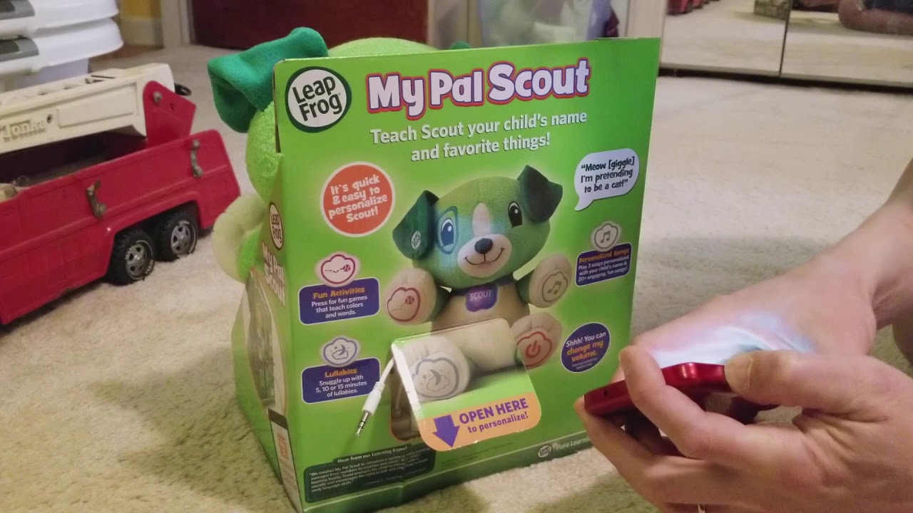 Scout