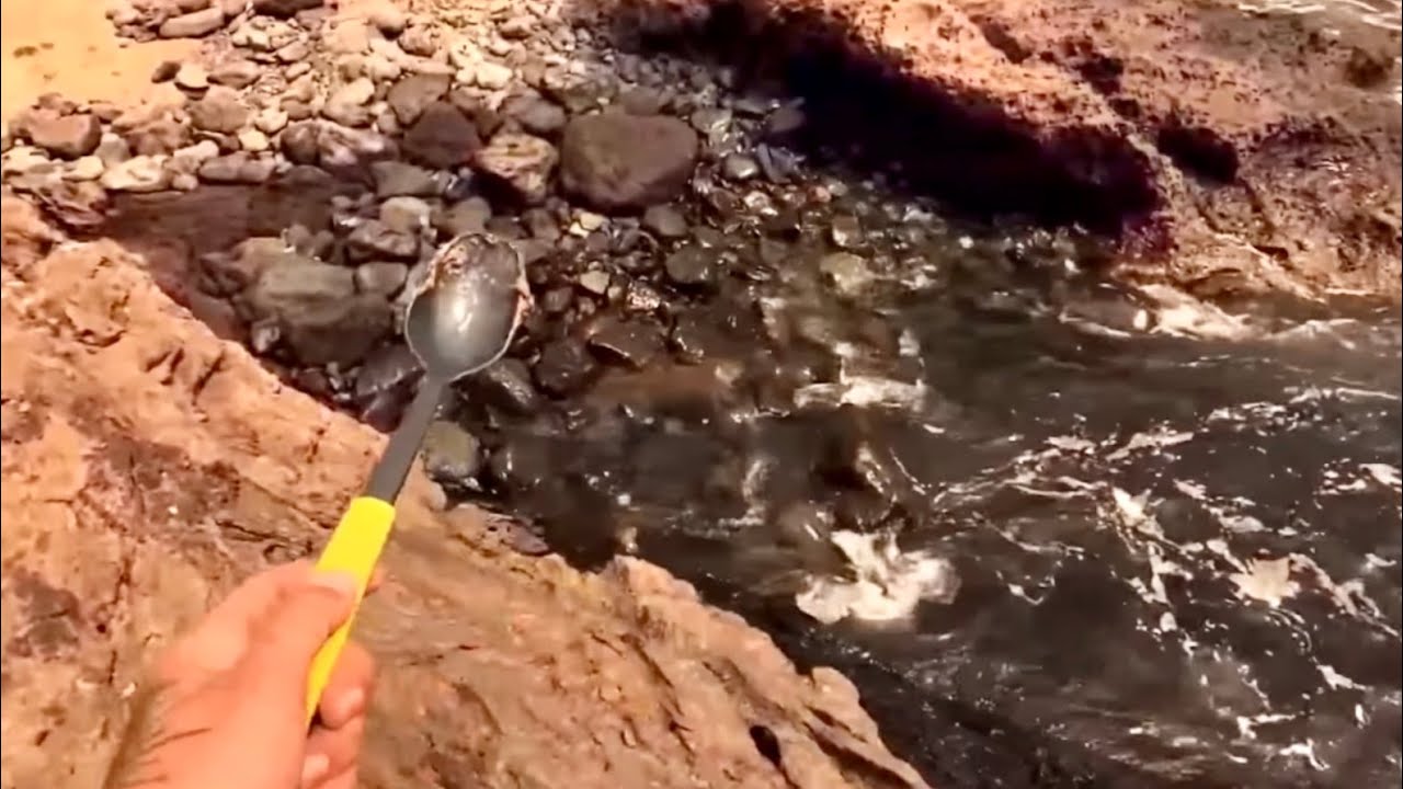 &iquest;C&oacute;mo se debe USAR el ENGODO para la PESCA del SARGO?
