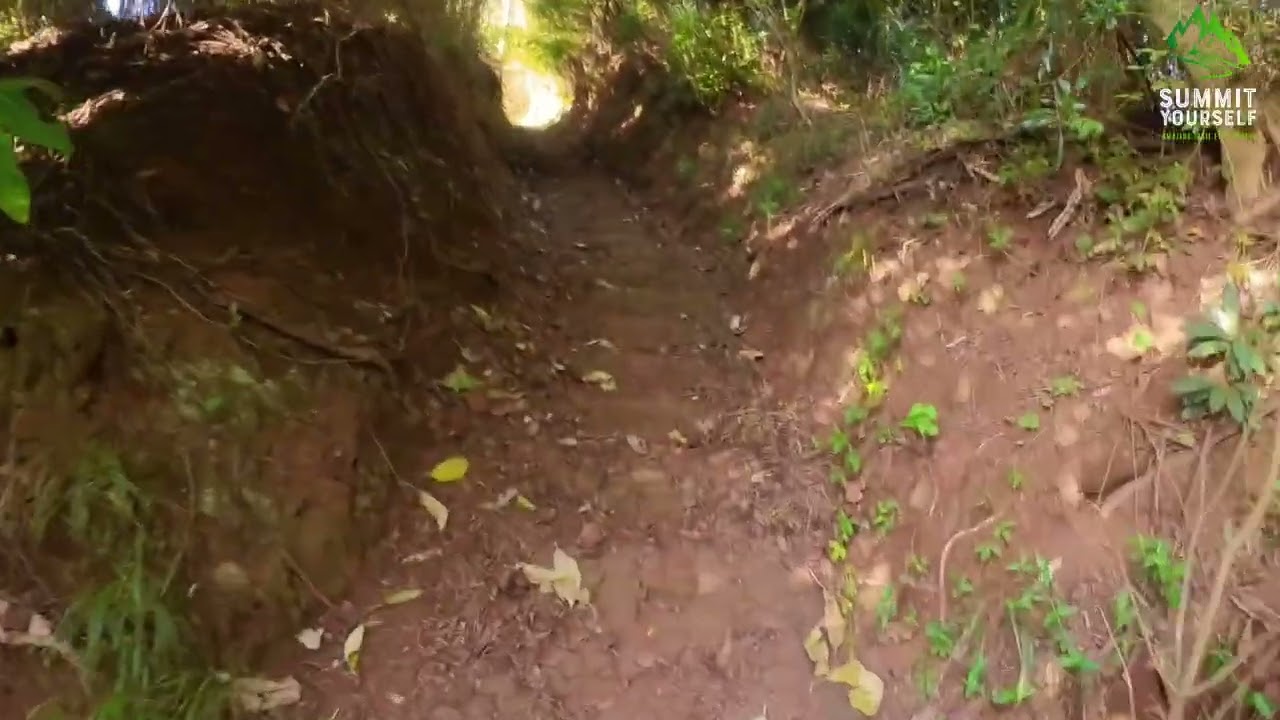 MaXi Race Madeira Ultra 100Km 2024