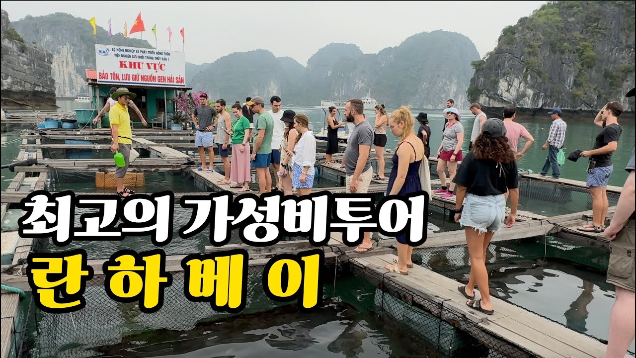 하롱베이보다 란하베이 최고의 가성비 란하베이투어 베트남일주 🇻🇳31