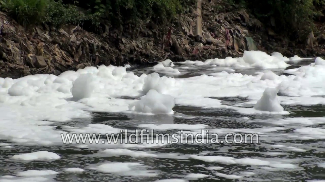 Dirty foam bubbles out of Varthur Lake in Bangalore