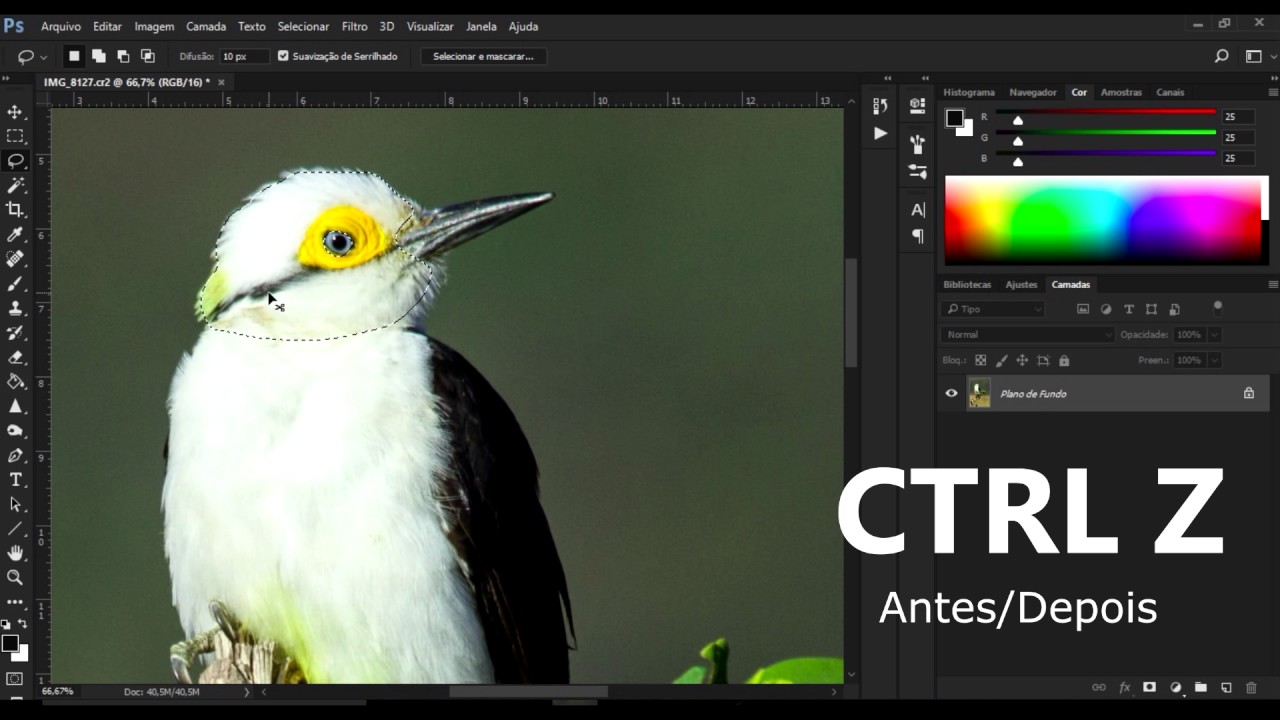 7- EDIÇÃO FOTOS DE AVES- Aumente a NITIDEZ nas AVES /  Photoshop PS