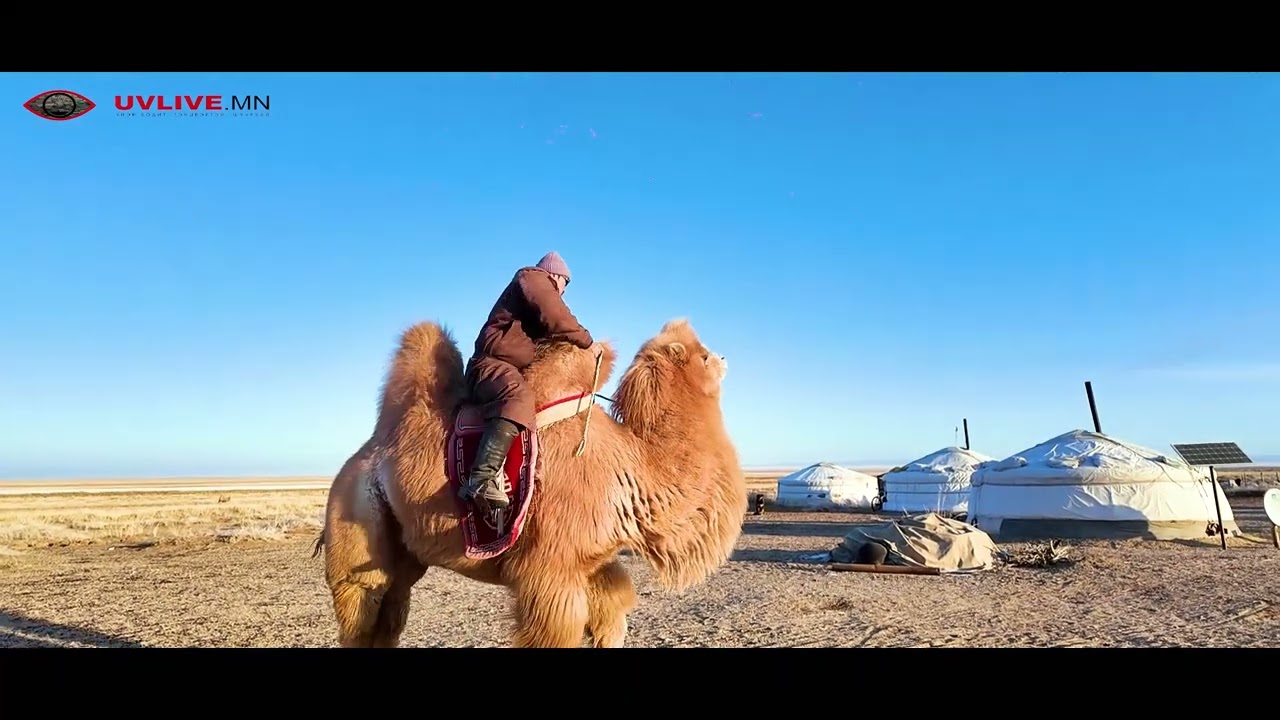 Nomad days III
