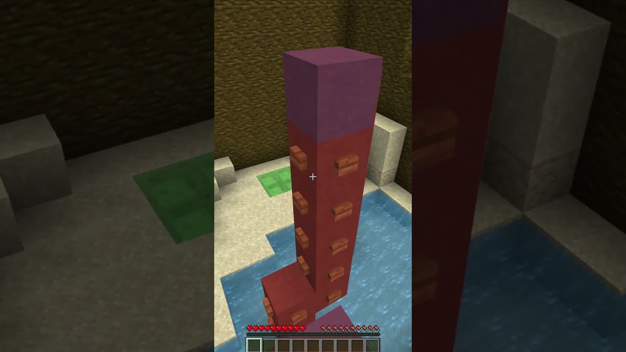 JAKIEŚ CAVY TUTAJ… CO SIĘ DZIEJE