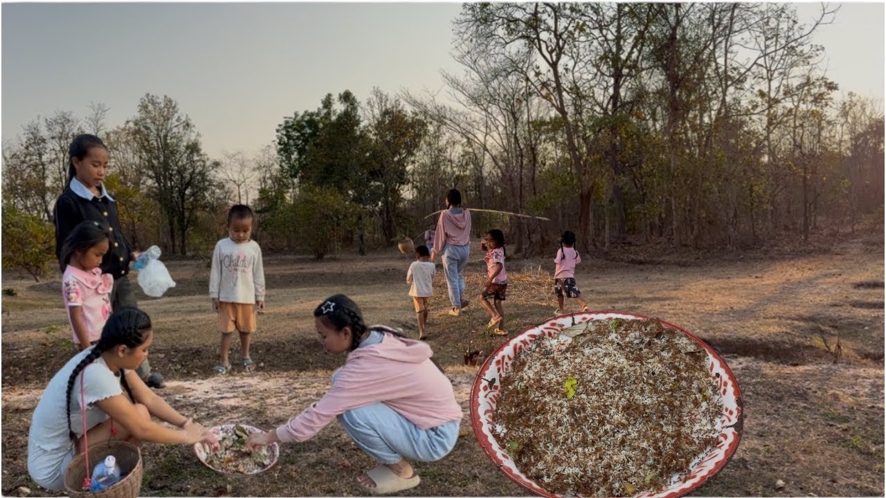 ແຫຍ່ໄຂ່ມົດແດງມາກ້ອຍກິນກັບຜັກກະໂດນ🇱🇦แหย่ไข่มดแดงมาก้อยกินกับผักกะโดน