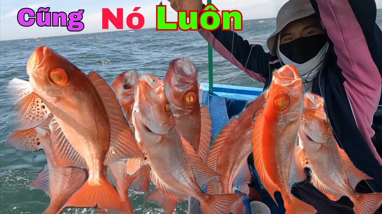 266) ỘT DỜI LẤN LÊN MỚI GẶP NÓ NÈ (CẢ NHÀ)