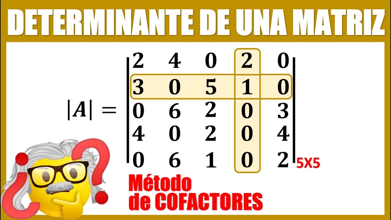 Determinante de una matriz 5X5 por COFACTORES