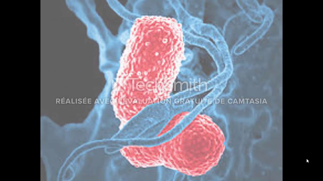 PHYTOPROTECTION VIDEO FINALE