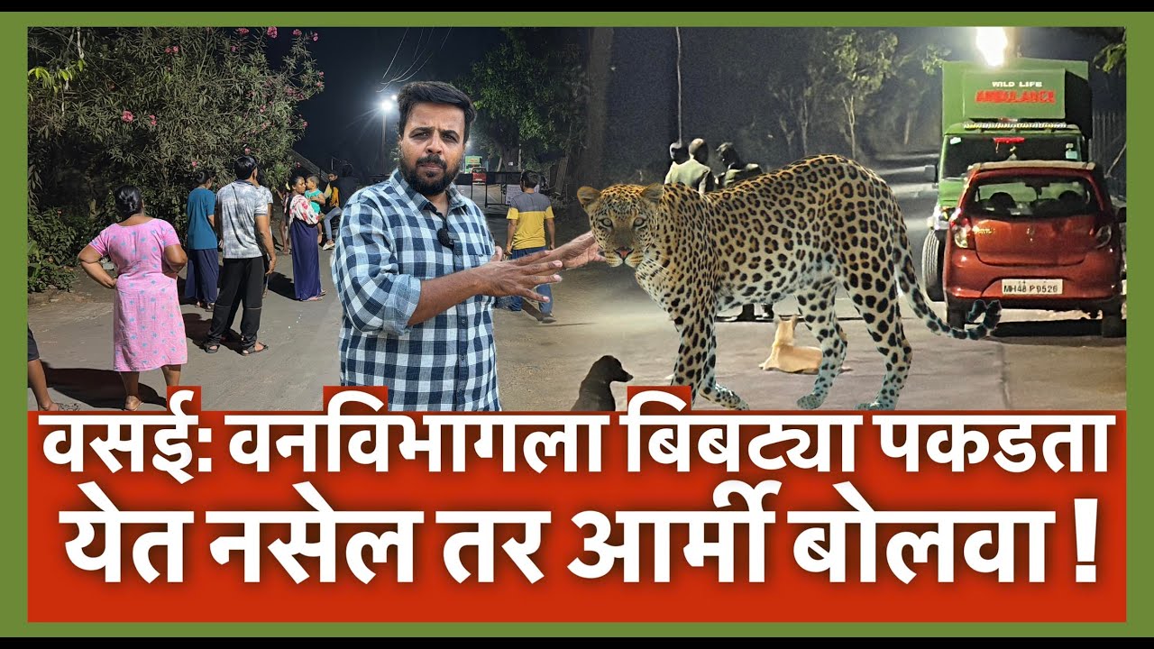 वसई: वनविभागला बिबट्या पकडता येत नसेल तर आर्मी बोलवा !