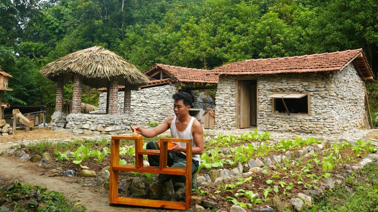 YOUNG DIRECTOR picks tangerines to sell - Life in the forest | Trieu Tam