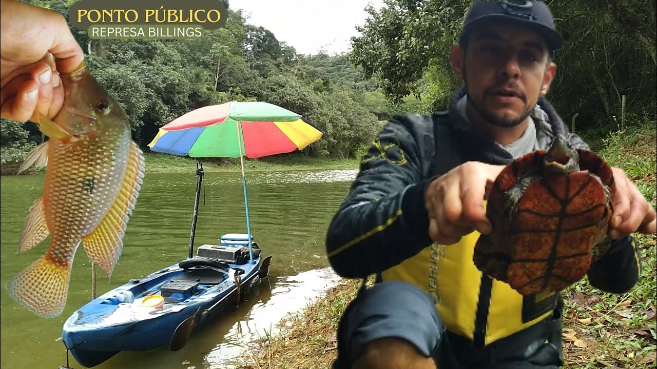 Pesquei Tartaruga e Cará - PONTO DE PESCA PUBLICO - Represa Billings