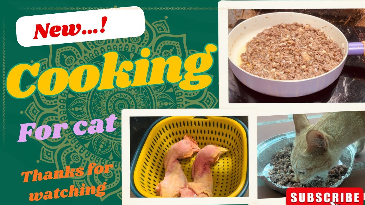 Wow.. First Time for Cooking Food Cat. #cat #adoptstrays #kitten #cutecat @TheStrayCatsandKittens