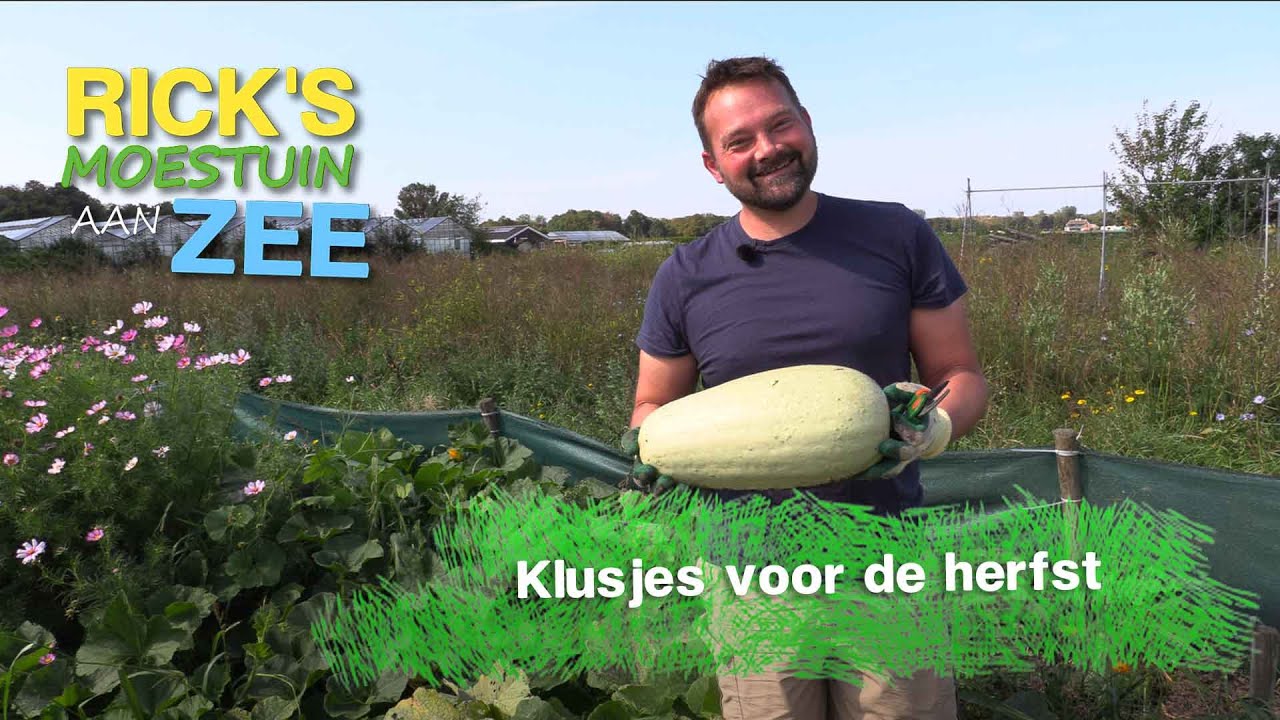 Klusjes voor de herfst | Alles Wat Bloeit | Rick's Moestuin Aan Zee