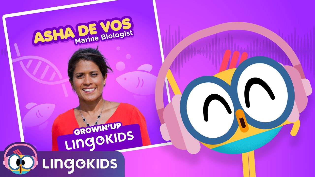 🦈 MEET A MARINE BIOLOGIST! Discover Ocean Life & Science 🌎 | Lingokids