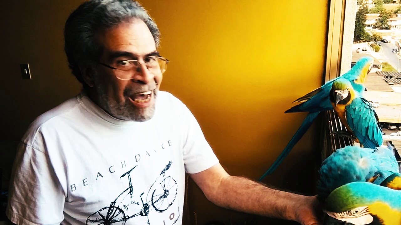 Momentos de Las Guacamayas Caraqueñas