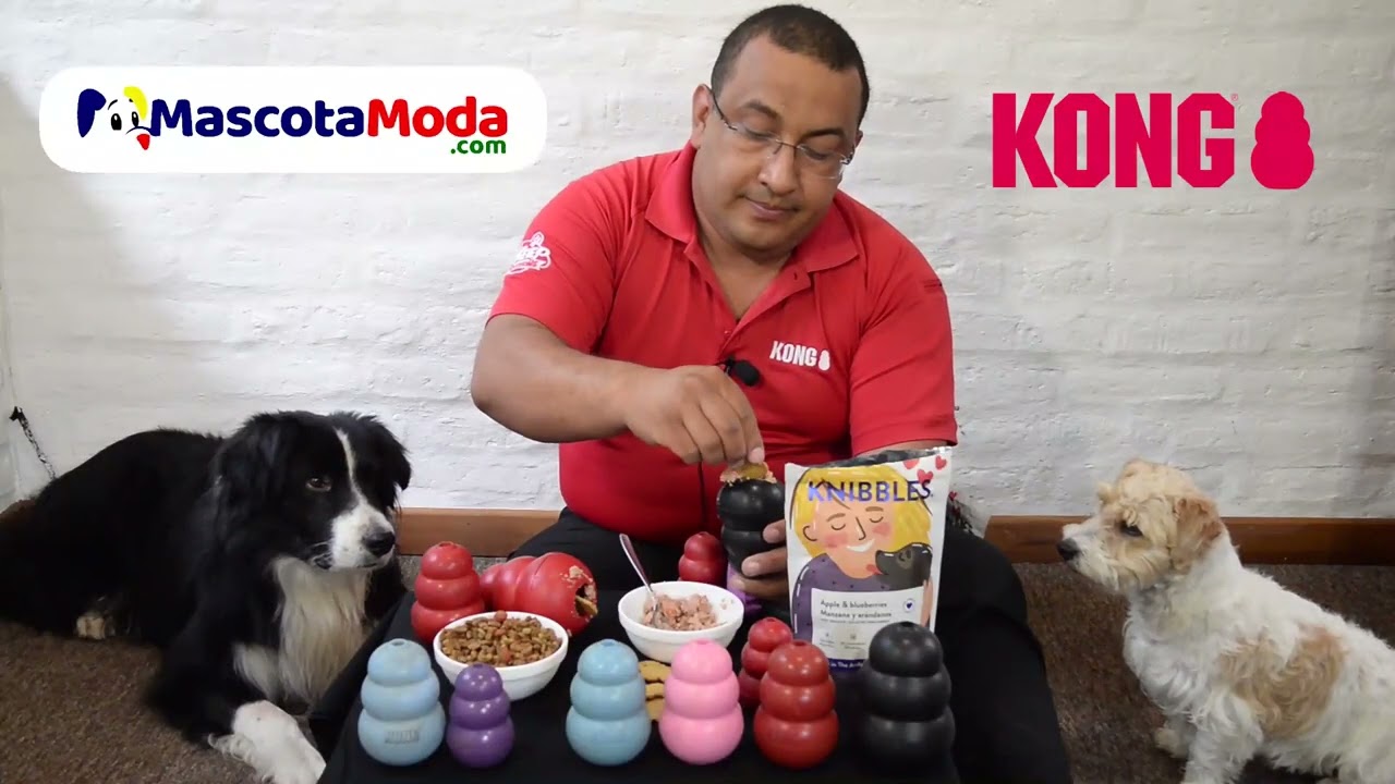 Como rellenar un KONG para perros recetas niveles dificultad y actividad mental para educarlo