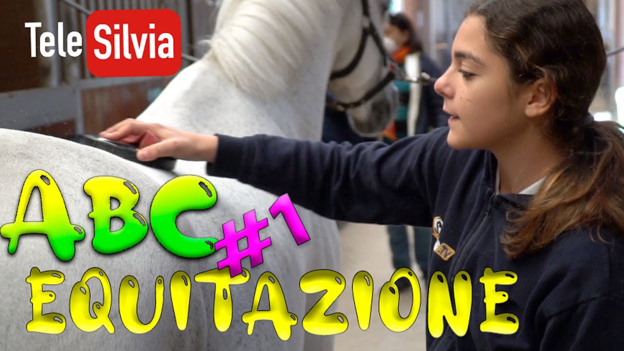 A SCUOLA DI EQUITAZIONE ABC - LEZ. 1 - PRIMA DI SALIRE SUL CAVALLO by #TeleSilvia