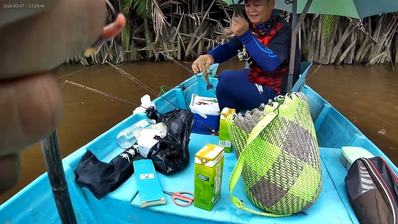 Ngail udang di sungai Kemena.Kawan geram udang besar terlepas