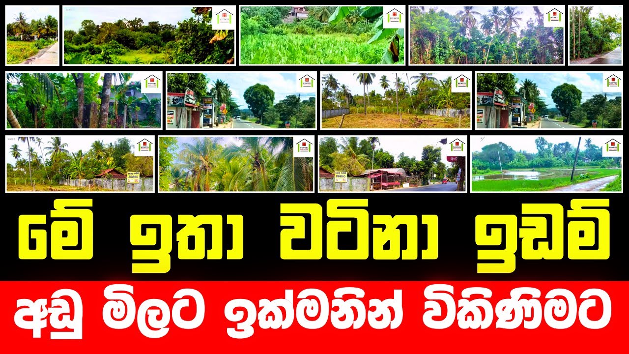 මේ ඉඩම් අඩුමිලට ඉක්මනින් විකිණිමට | Land Sale in Sri Lanka | Aduwata Idam | Low Budget Land Sale
