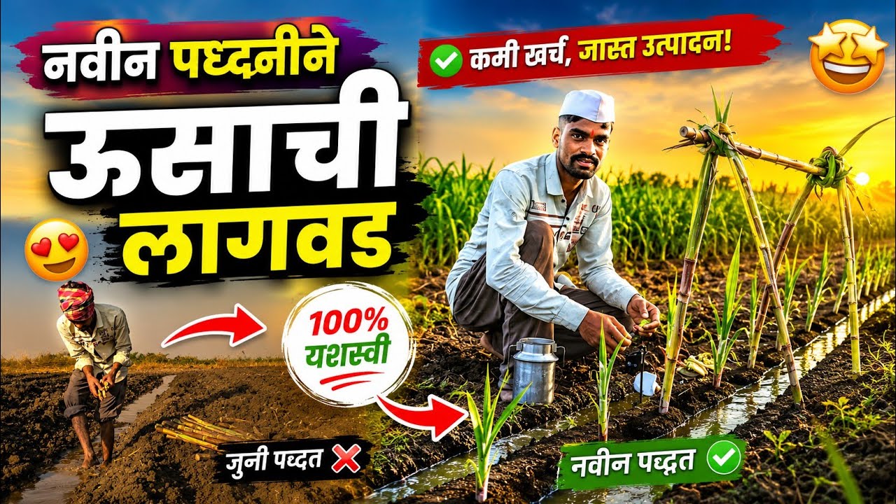 नवीन पद्धतीची ऊसाची लागवड 🔥 @SudarshanGiri42 