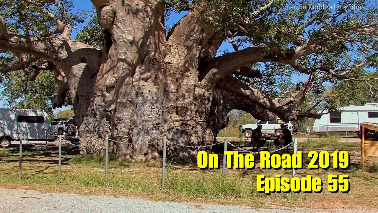 ON THE ROAD 2019 EP 55