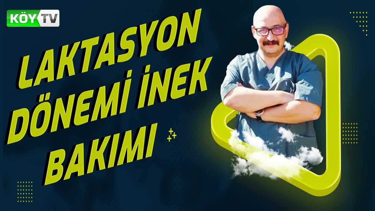 LAKTASYON DÖNEMİNDE İNEKLERİN BAKIM VE BESLEMESİ | BURHAN HOCA İLE İDEAL HAYVANCILIK