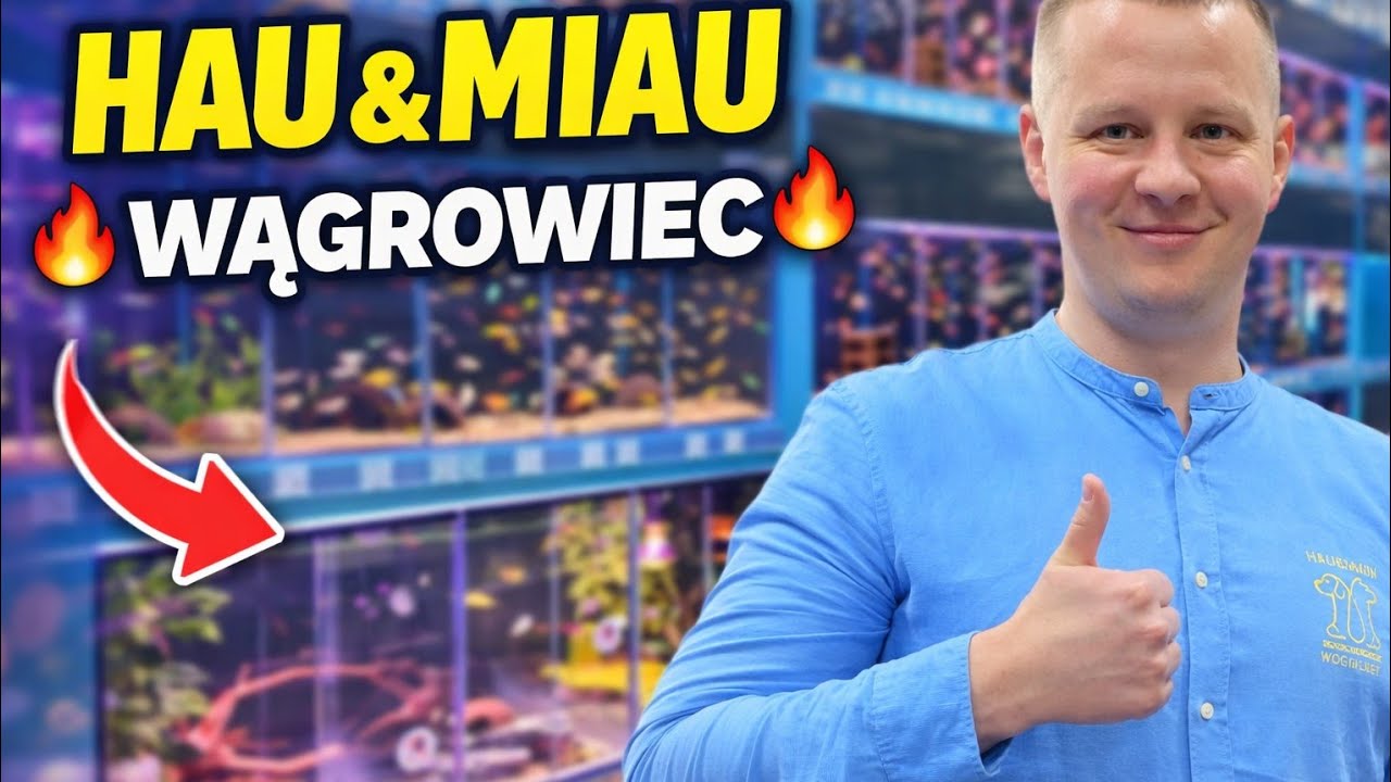Odwiedzamy sklep z rzadkimi rybami! 10% RABATU i potężna filtracja