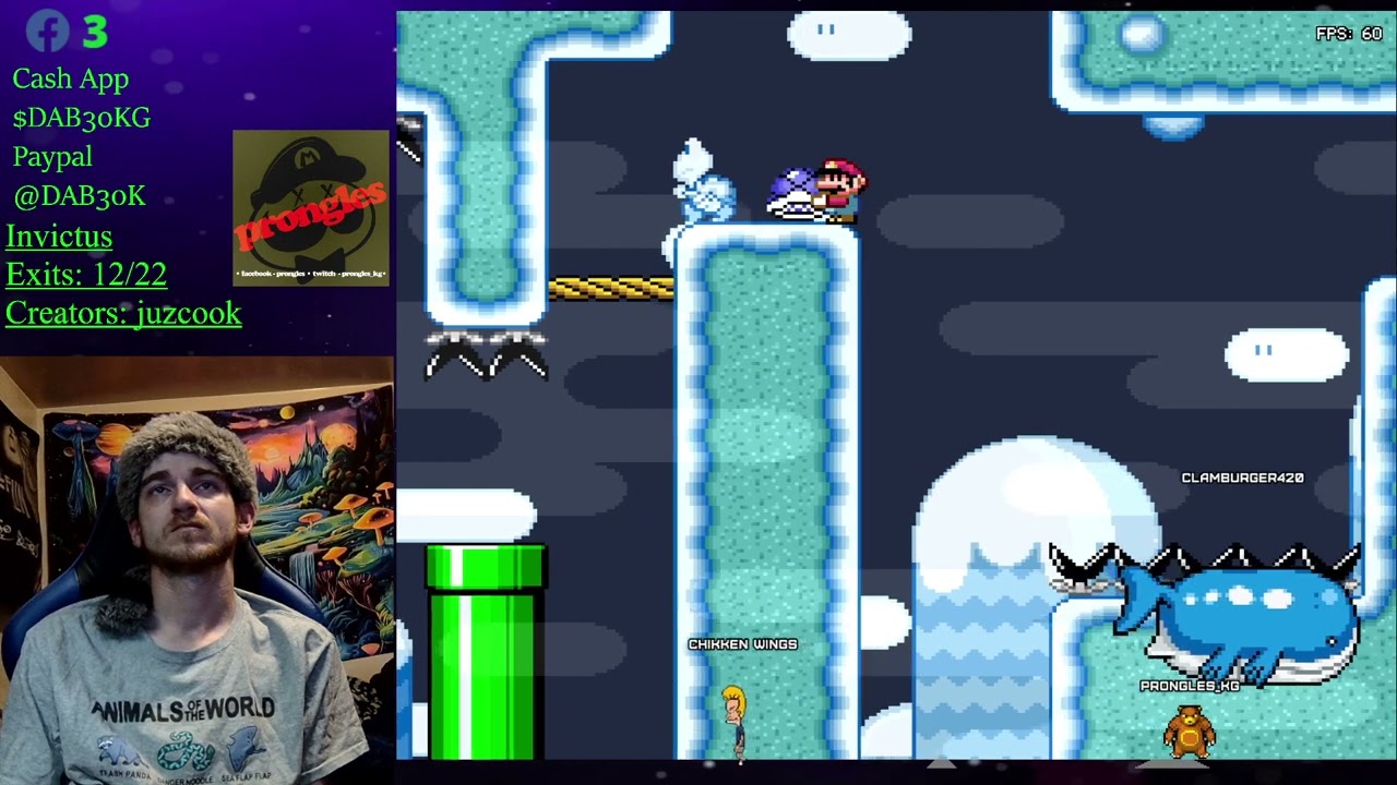 entrance to secret of snow level