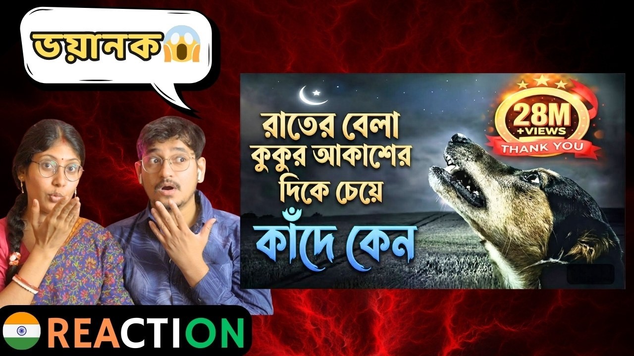 🇮🇳/🇧🇩 Indian Reaction | মাঝ রাতে আকাশের দিকে মুখ করে কুকুর কাঁদে কেন? জানলে চখের পানি চলে আসবে 😢
