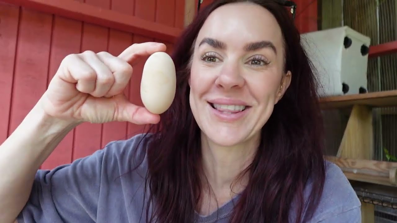 Our chicken laid twins!!