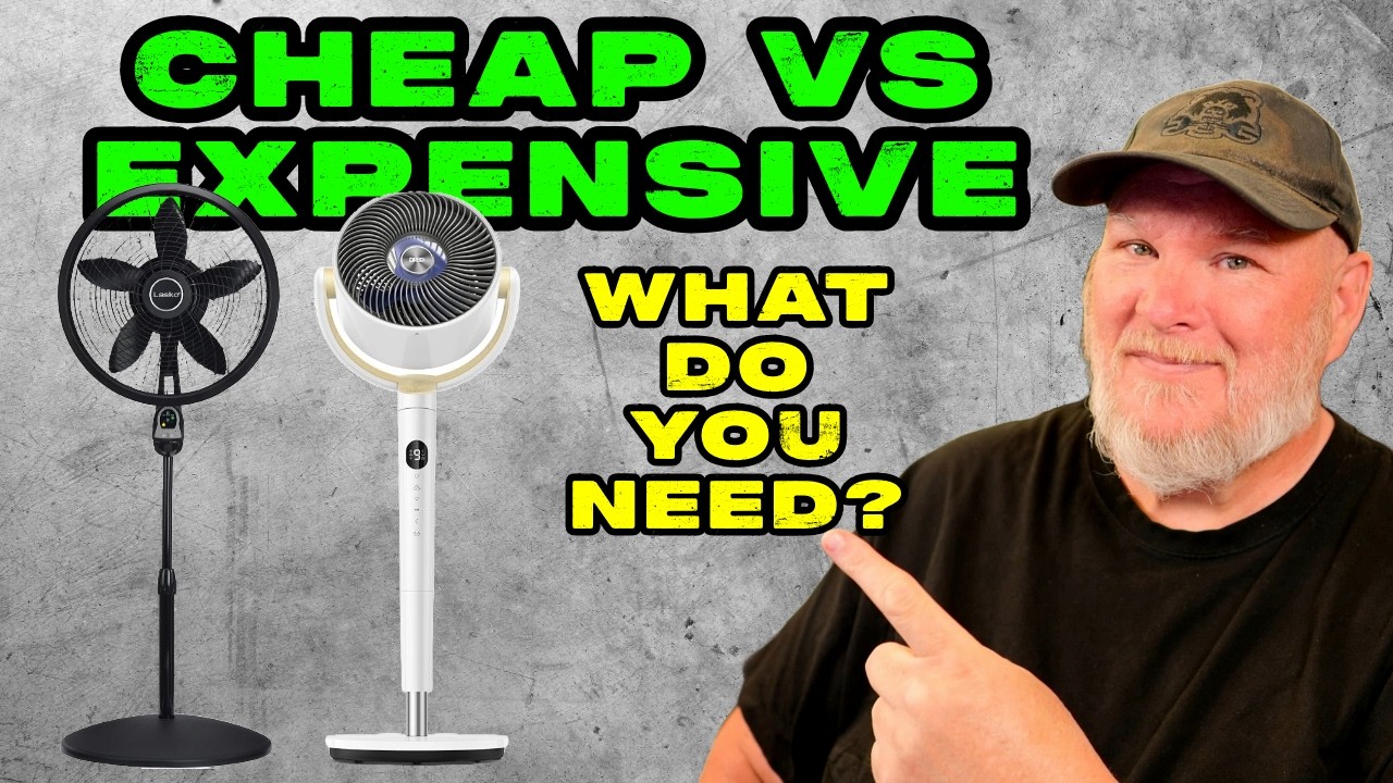 Best Pedestal Fan - Dreo vs Lasko