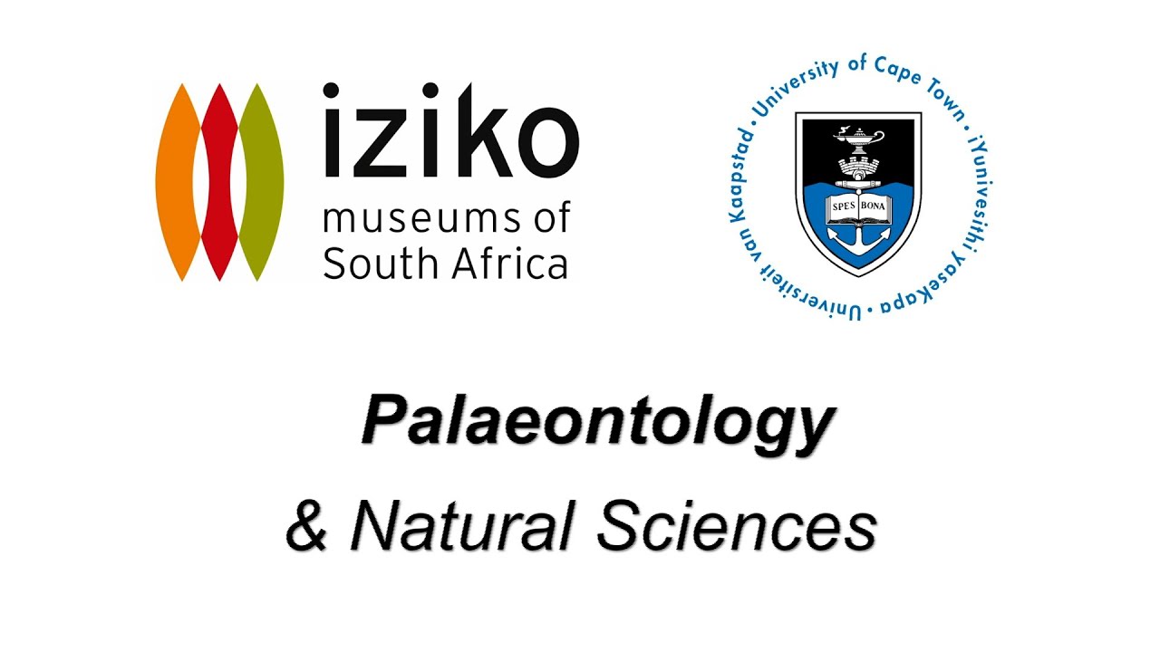 Iziko Museums&rsquo; unique collections help UCT students with their postgrad research