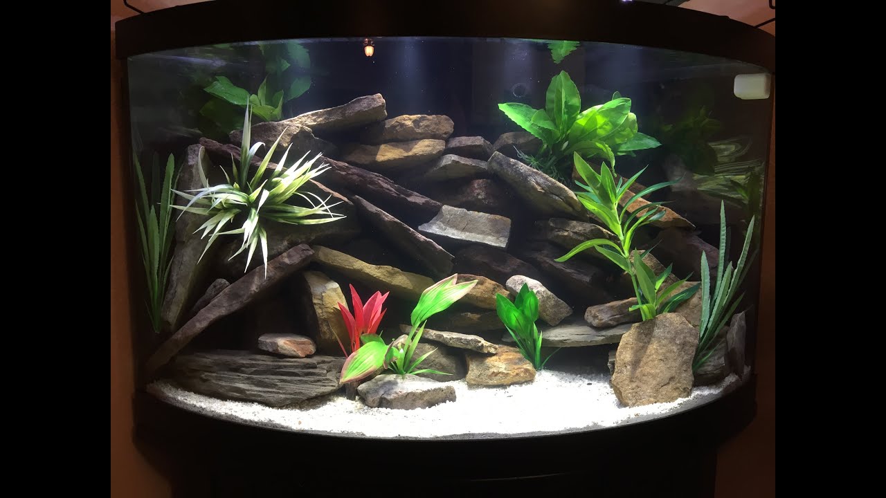 New African Cichlid 55g Corner Tank Build Process