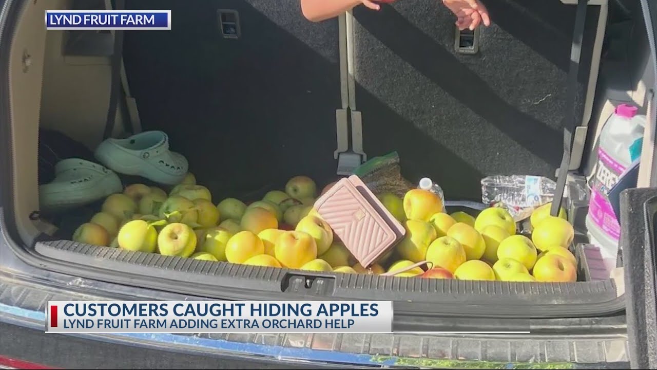 Customers caught stealing apples from central Ohio orchard