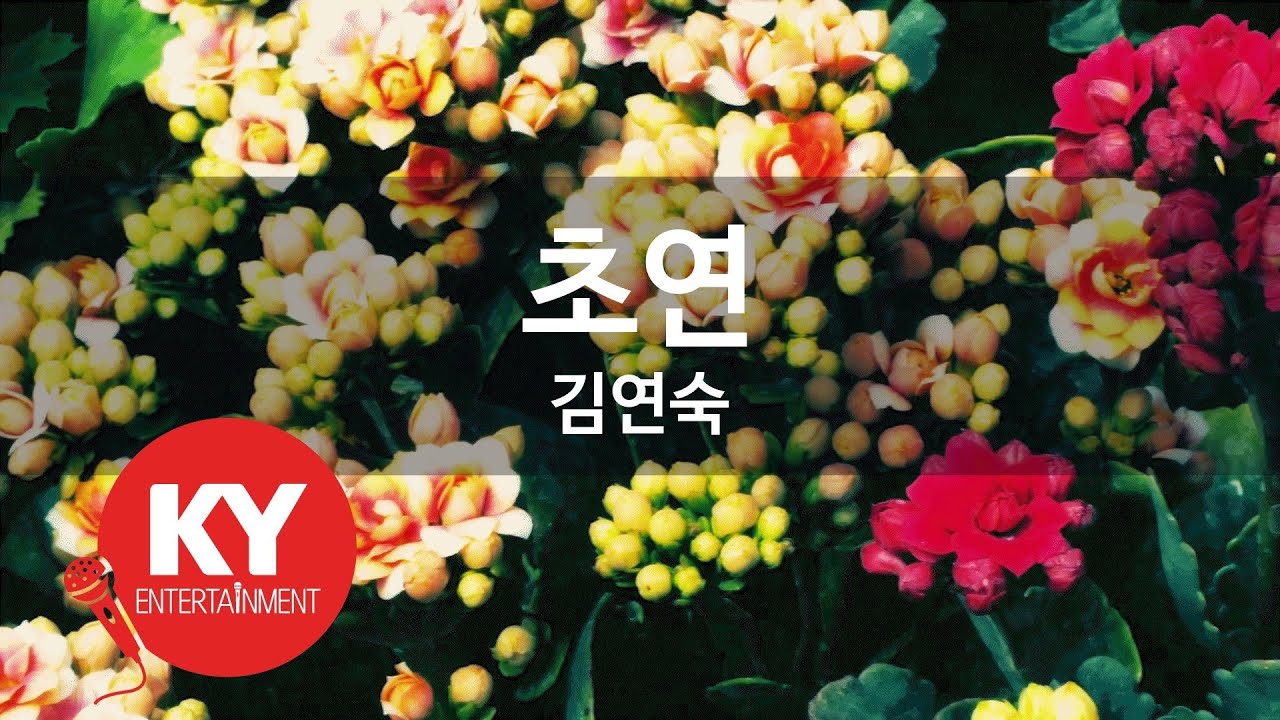 [KY ENTERTAINMENT] 초연 - 김연숙 (KY.2551) / KY Karaoke
