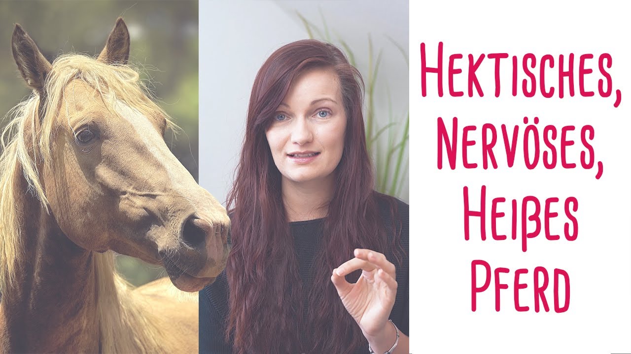 Nervöses, hektisches Pferd: So reitest Du 