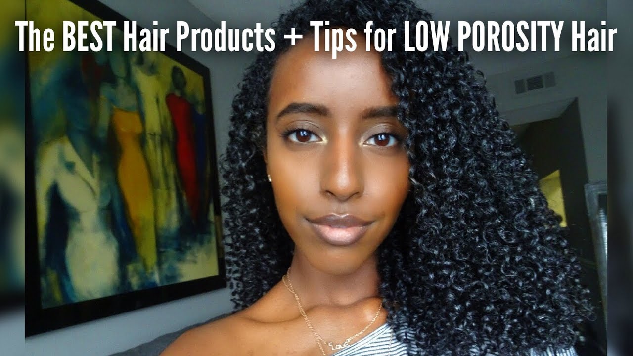 The BEST Hair Products +  Tips for LOW POROSITY Hair