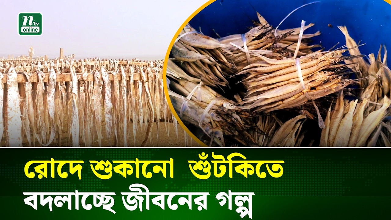 কর্মচাঞ্চল্যে মুখর পাথরঘাটার শুঁটকি পল্লী | Barguna | NTV News