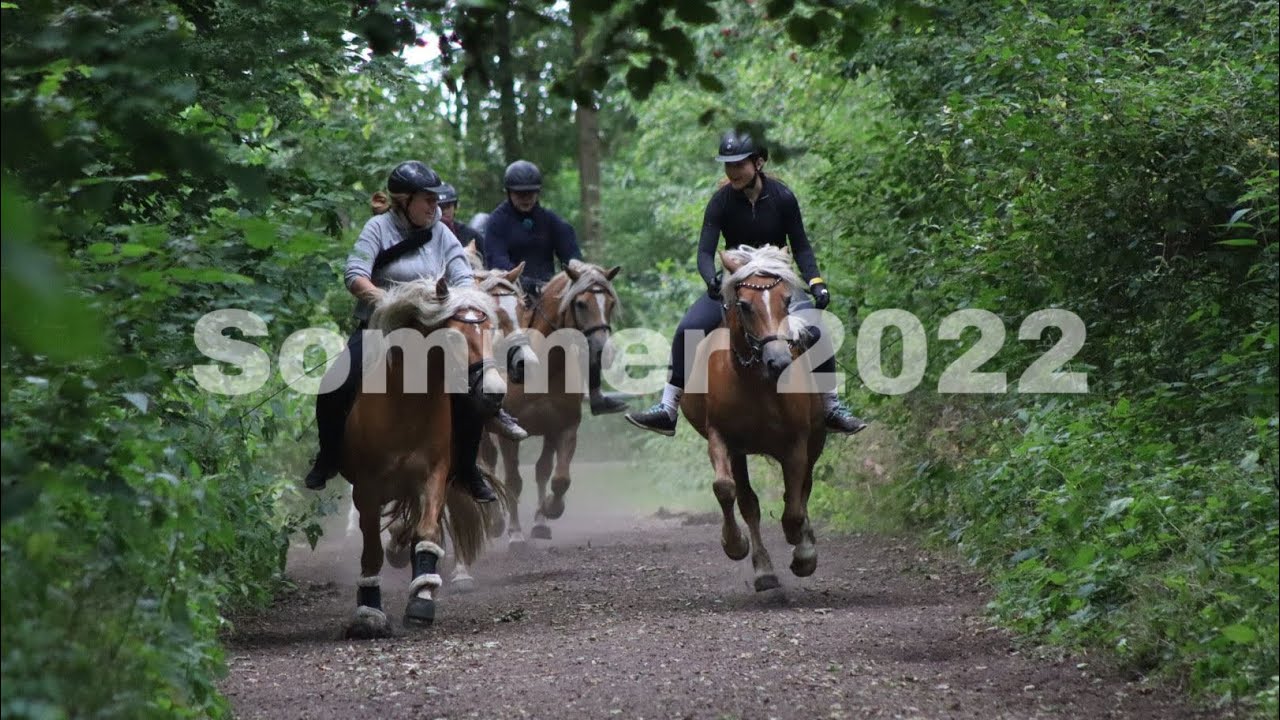 Pony Park Padenstedt || Sommer 2022