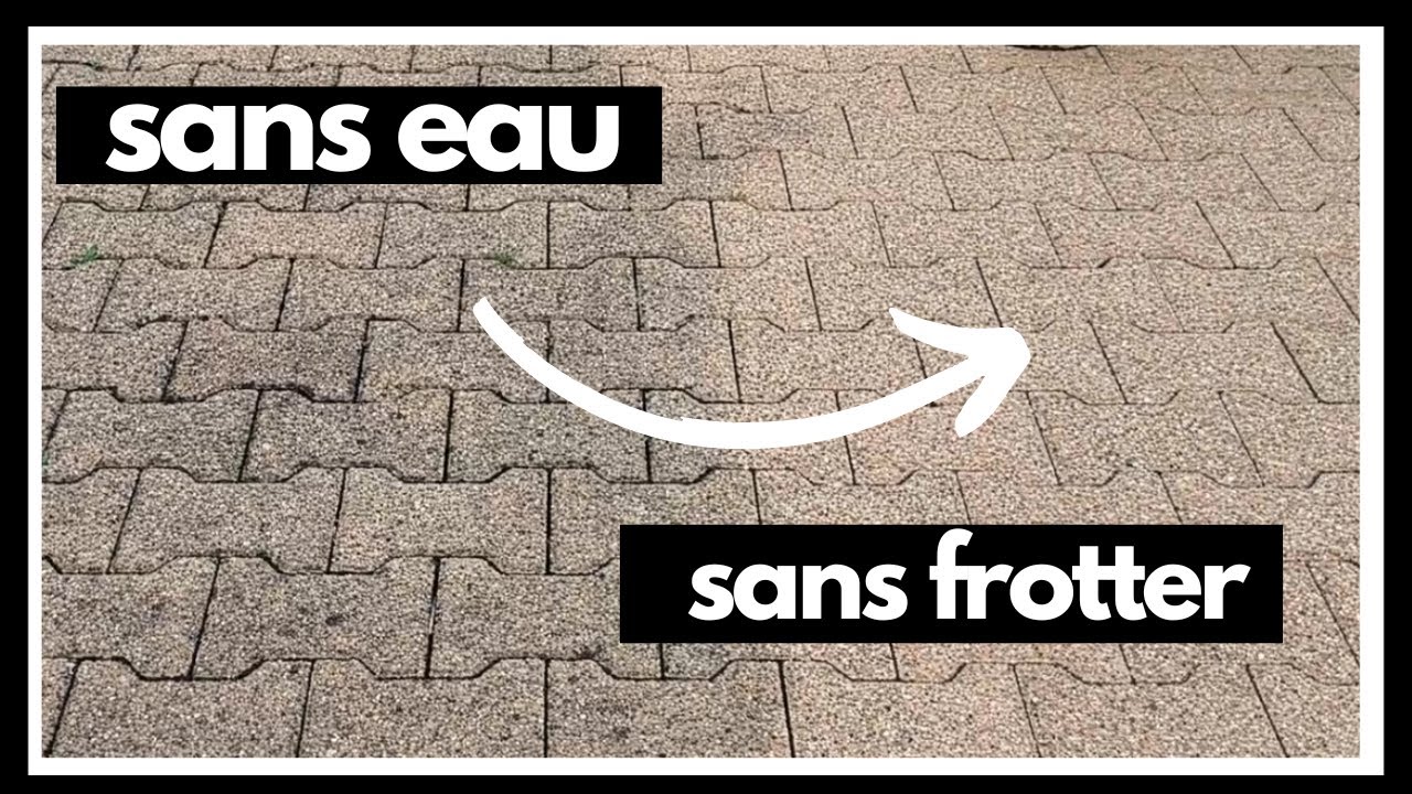 comment nettoyer pavés autobloquants terrasse allée facilement