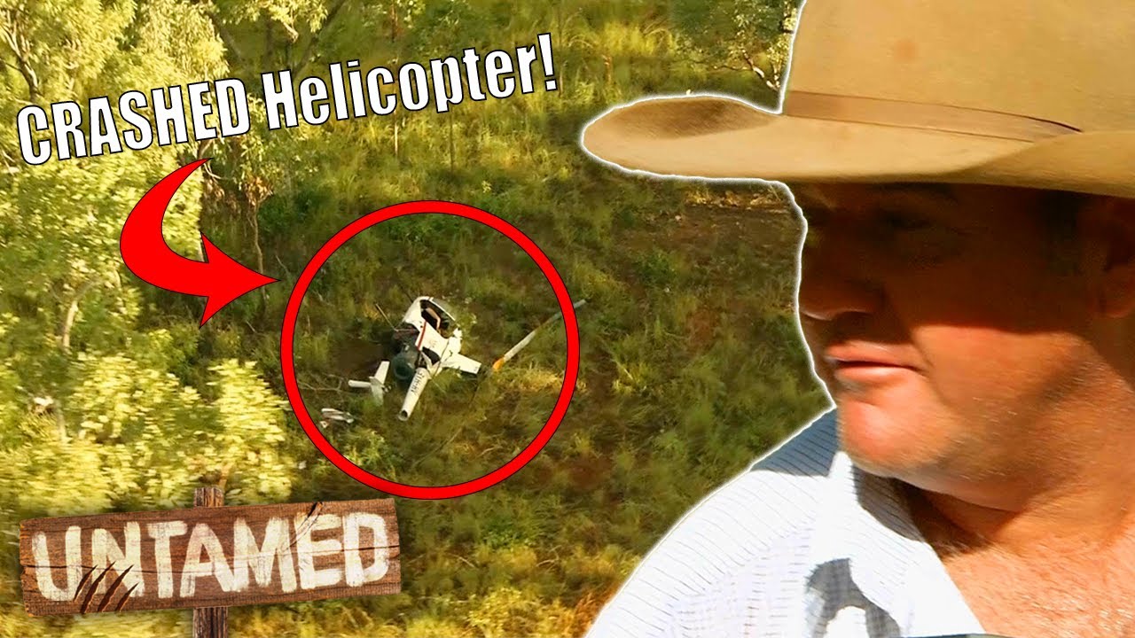 Вертолёт разбился посреди аутбэка! 🚁 | В ногу со временем | Untamed