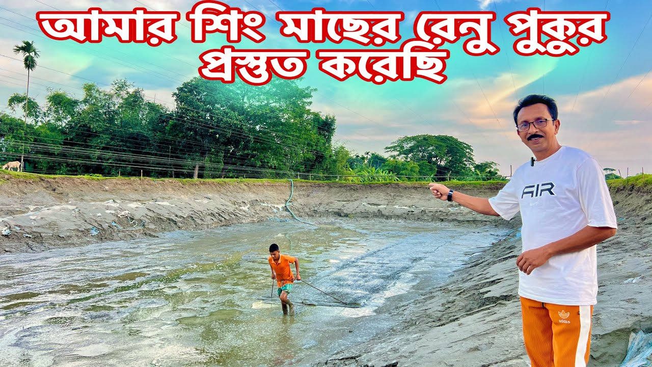 আমার শিং মাছের রেনু পুকুর প্রস্তুত প্রনালী..।  Catfish bd